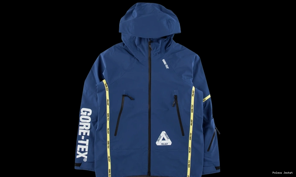 Cheap Palace Palex Jacket Gore-Tex 0711